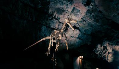 Age of the Dinosaurs Exhibition, Kents Cavern