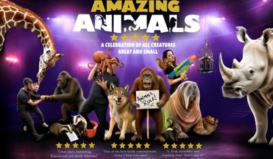 Amazing Animals, Babbacombe Theatre