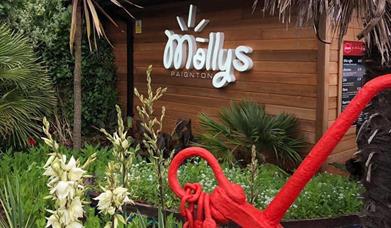 Molly's, Paignton Harbour, Paignton, Devon