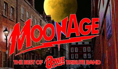 MoonAge - The Best of Bowie Tribute Band, Brixham Theatre
