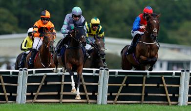 Family Fun Day October Half Term, Newton Abbot Racecourse