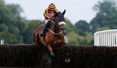 images of horses racing and jumping 
