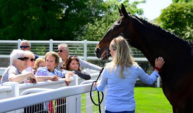 Easter Saturday Racing at Newton Abbot Racecourse