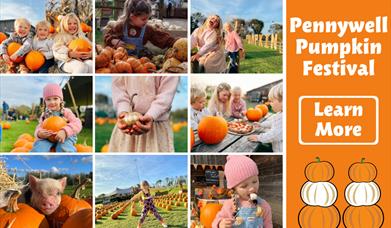 Pennywell Pumpkin Festival