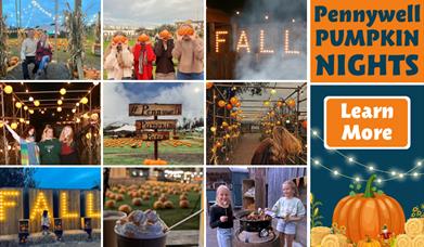 Pennywell Pumpkin Nights!