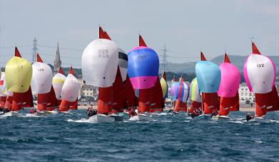 Squib Fleet, Torquay, Devon