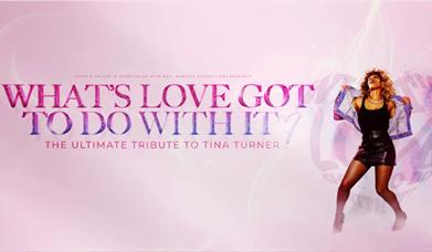 What's Love Got To Do With It? The Ultimate Tribute To Tina Turner