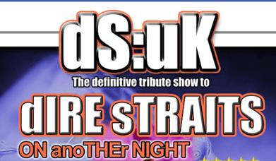 dS:uK - Tribute to Dire Straits Brixham Theatre, Brixham