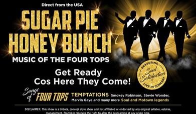 Sugar Pie Honey Bunch – Music of the Four Tops, Babbacombe Theatre