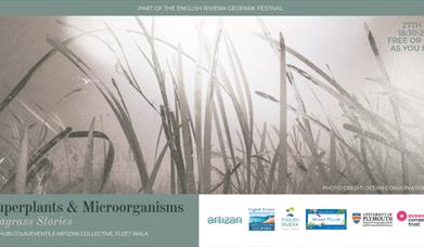 Superplants & Microorganisms: Seagrass Stories, Artizan Collective, Fleet Street, Torquay