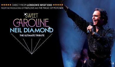 photo of the artist singing with the show's logo in gold, pink and blue
