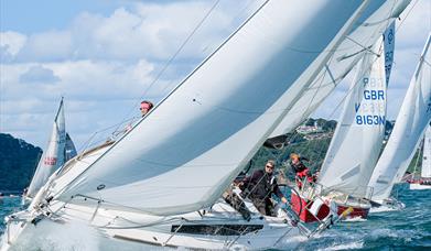 Torbay Royal Regatta