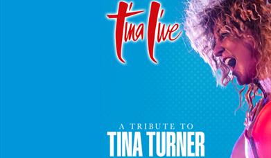 Tina Live – The Tina Turner Experience, Palace theatre, Paignton