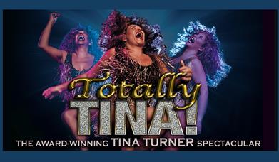 poster for the show with performer singing in a sparkly dress