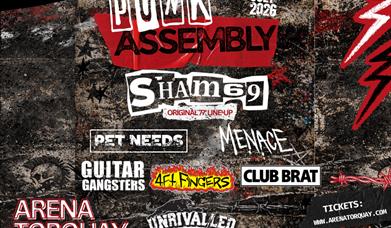 Torquay Punk Assembly, Arena Torquay
