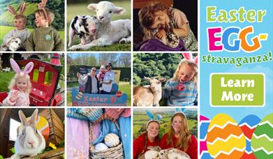 Easter Egg-Stravaganza at Pennywell Farm