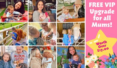 VIP OFFER FOR MUMS: Mother's Day at Pennywell Farm