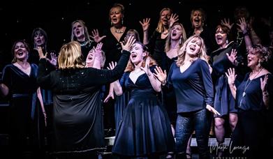 The 'Yours in Harmony' 20th Anniversary Show, Royal Lyceum Theatre, Torquay