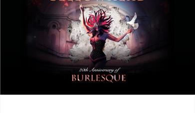 Bellowhead, Princess Theatre, Torquay