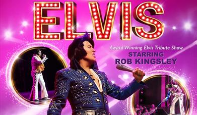 A Vison of Elvis, Palace Theatre, Paignton 