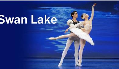 Swan Lake, Princess Theatre, Torquay, Devon