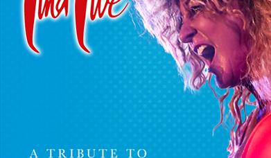 Tina Live – The Tina Turner Experience, Palace theatre, Paignton