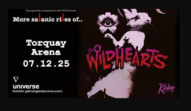 The Wildhearts, Arena Torquay