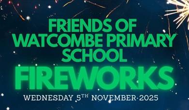 Watcombe Primary School Fireworks