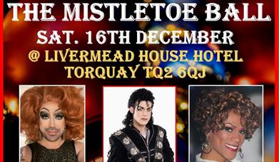 Mistletoe Ball, Livermead House Hotel, Torquay, Devon