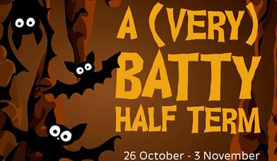 A (very) Batty Half Term