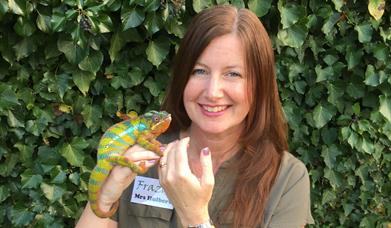 Frazoo Live Show: Remarkable Reptiles and Colossal Creepy-Crawlies, Torquay Museum