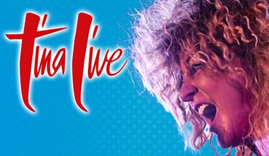 Tina Live – The Tina Turner Experience, Palace theatre, Paignton