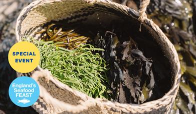 Coast to Caves event, part of England's Seafood FEAST. A basket of freshly foraged seaweed sits on a beach.