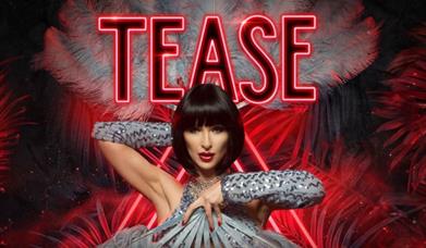 Tease, Babbacombe Theatre, Torquay, Devon