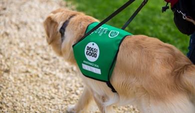 Dogs for Good, working dog, Timbrell’s Trips & Events CIC