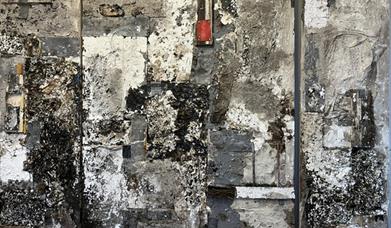 Wasteland, The Yellowing - Works of Keith Frake