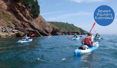 Group of Kayaks,  Coastal Kayak Safari - Reach Outdoors