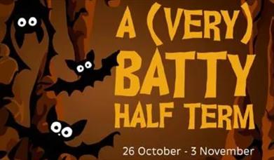 A (very) Batty Half-Term, Kents Cavern