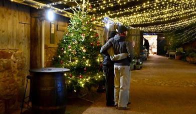 Couple stood by Christmas tree at night time surrounded by lights