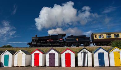 Dartmouth Steam Railway (starting in Paignton)