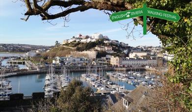 A view looking down across Torquay harbour and across to the far side of Torquay.