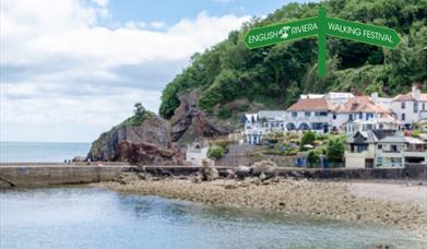 View from the sea across to Babbacombe beach and quay and the Cary Arms.