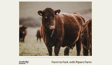 Farm to Fork with Pipers Farm, Sandridge Barton