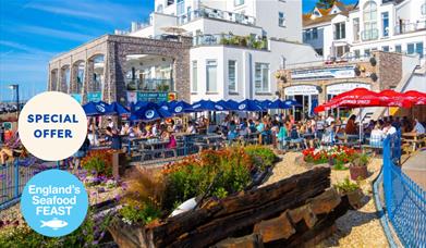 Outdoor seating, BATTERED in BRIXHAM - The Best Fish and Chips and a Pint for Lunch, Part of England's Seafood FEAST, The Prince William, Brixham, Dev