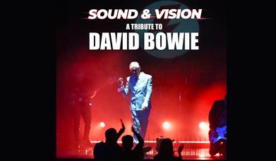 Sound and Vision - A Tribute to David Bowie, Palace Theatre, Paignton