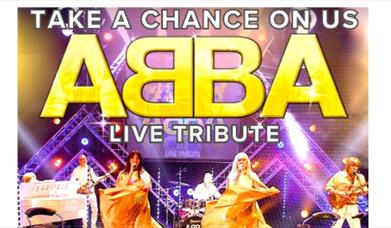 Take a chance on us - Abba Tribute band