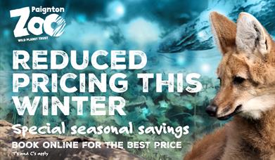 Paignton Zoo Reduced Pricing This Winter