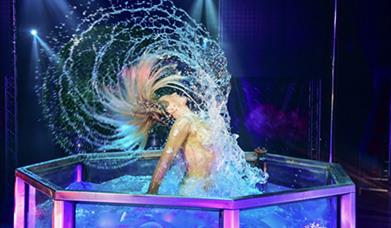 Circus Extreme