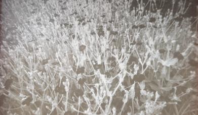 Artizan Collective Geopark Artists Residency Exhibition