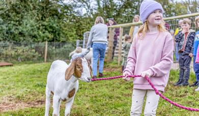 Farmer for a Day at Occombe Farm, Torquay